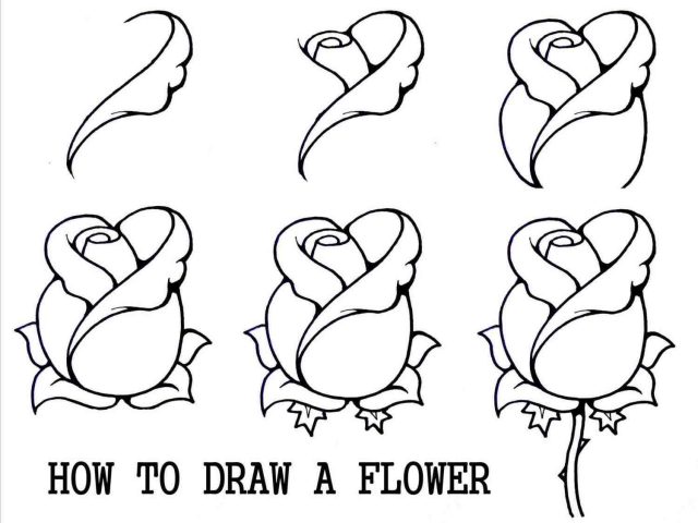 640x480 The Images Collection Of Tutorials Tumblr How Rose Tutorial