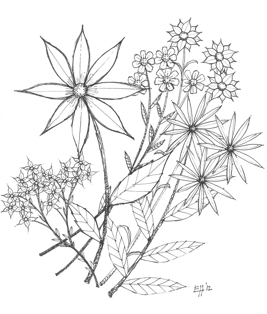 900x1059 Flowers Sketch Tumblr Images