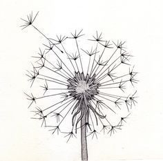 236x233 70 Best Tumblr Images On Drawings, Drawing Ideas