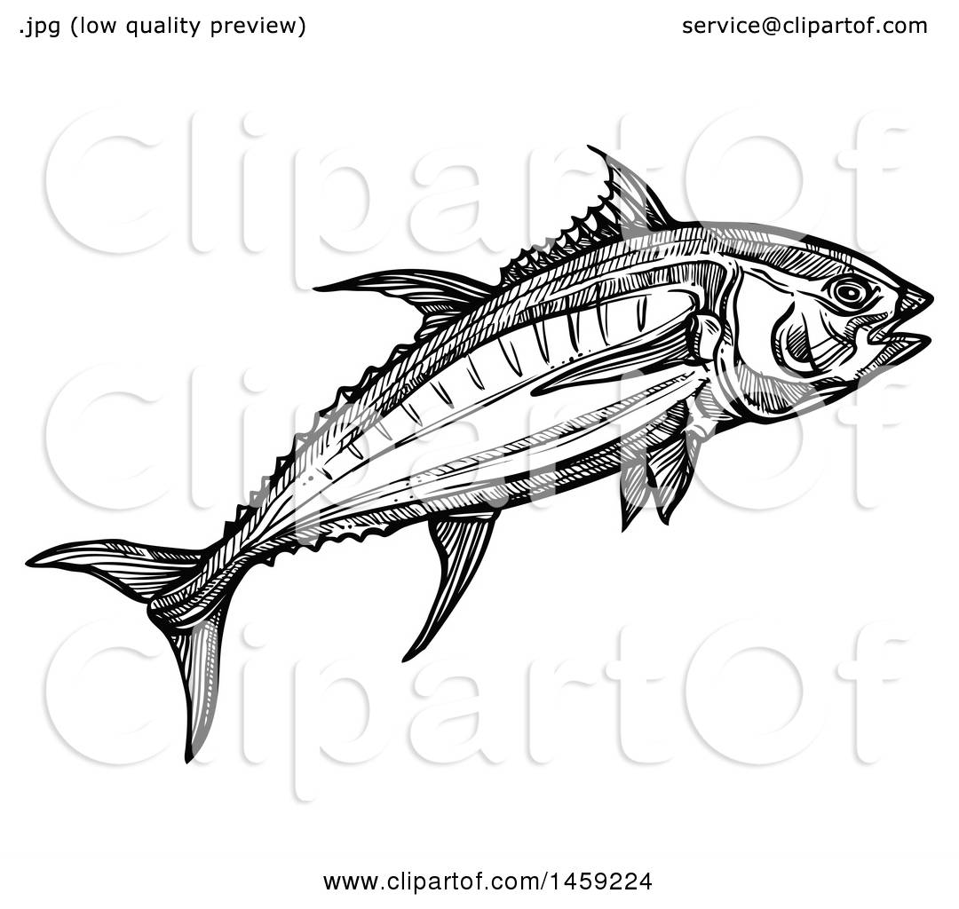 1080x1024 Clipart Of A Sketched Tuna Fish In Black And White