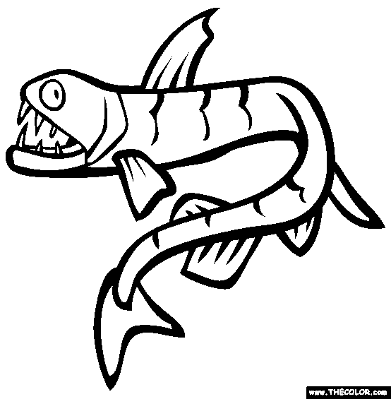554x565 Tuna Fish Coloring Page Clipart Panda