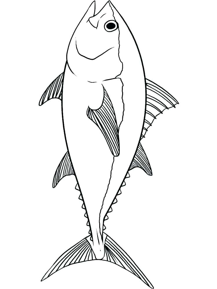 750x1000 Coloring Page Of A Fish