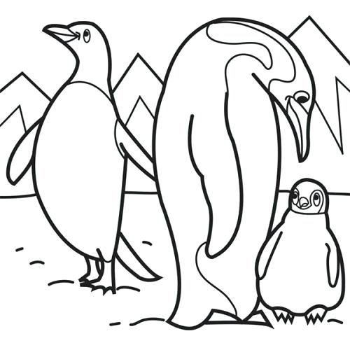 500x500 New Arctic Animals Coloring Pages And Arctic Animals Coloring