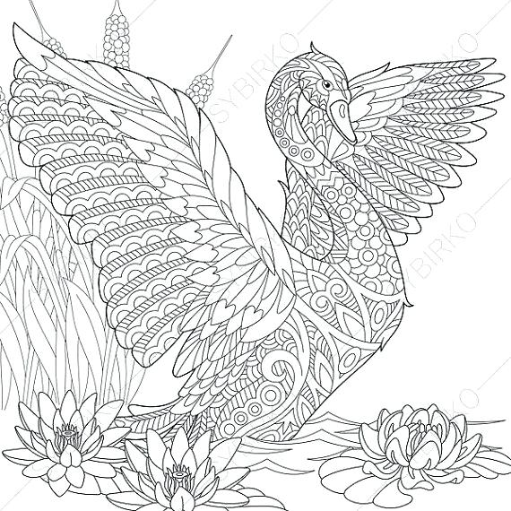 570x570 Swan Animal Coloring Pages Click To See Printable Version