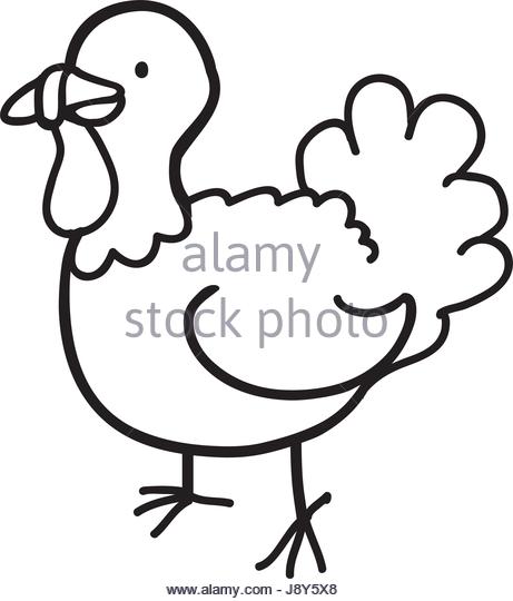 461x540 Turkey Bird Drawing Stock Photos Amp Turkey Bird Drawing Stock
