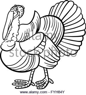 300x331 Clip Art Funny Turkey Stock Vector Art Amp Illustration, Vector