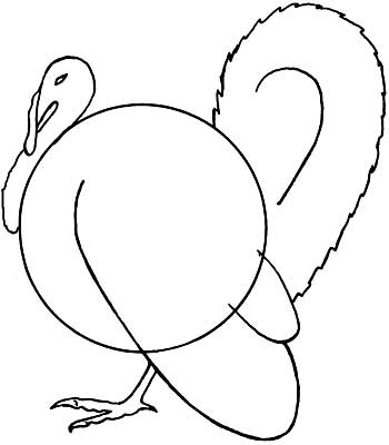 350x400 How To Draw A Turkey