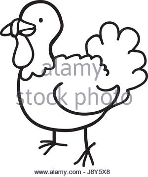 300x358 Cartoon Thanksgiving Or Christmas Turkey Bird In A Chef Hat