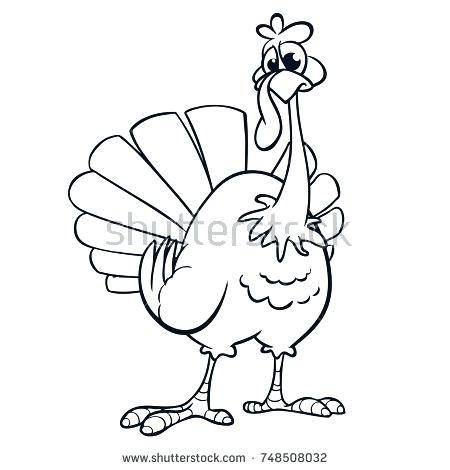 450x470 Turkey Outline For Coloring Cartoon Drawings Of Turkeys Library