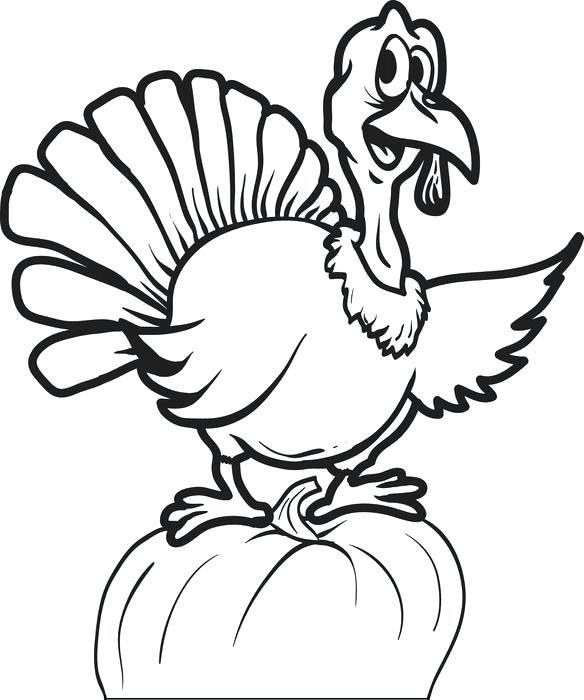 584x700 Turkey Animal Coloring Pages Free Printable Thanksgiving Turkey
