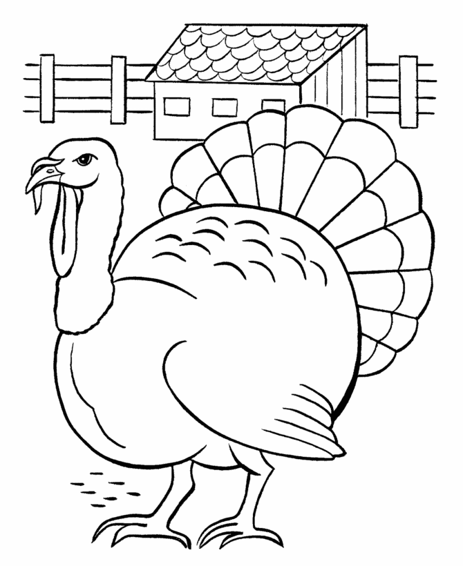 670x820 Turkey Drawing For Kids 292937