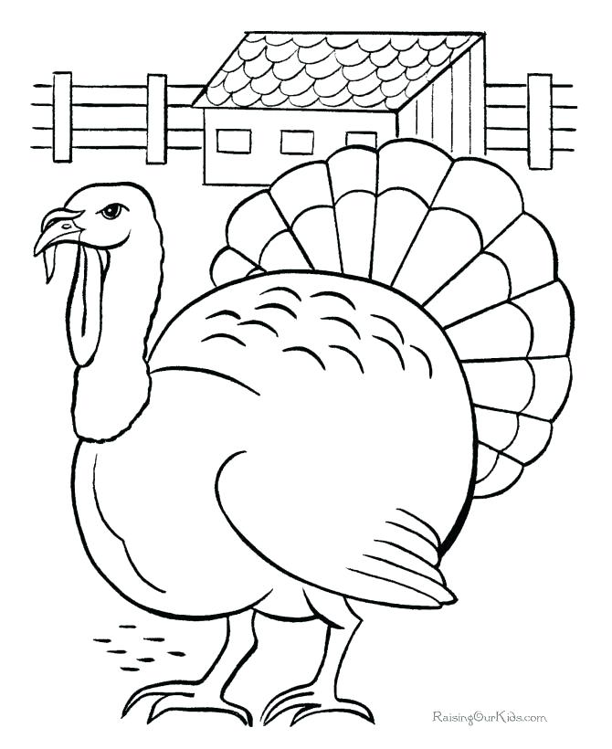 670x820 Coloring Page Of A Turkey Large Print Coloring Pages Turkey