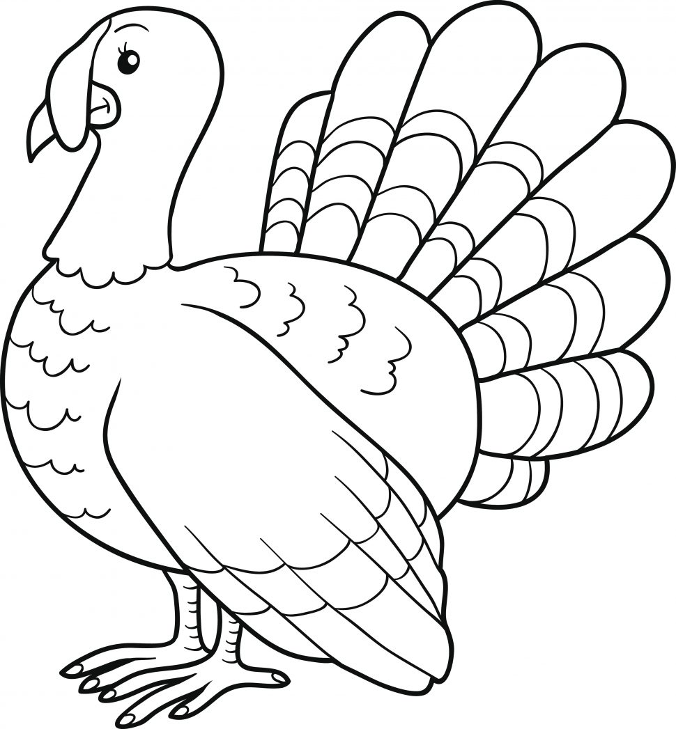 970x1047 Coloring Pages Stunning Turkey Drawing Dresstheturkey Coloring