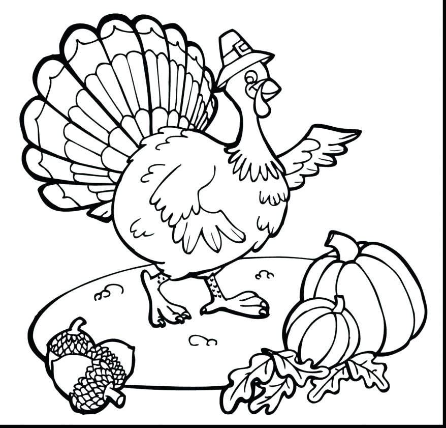 878x841 Turkey Coloring Pages Free Printable Murs