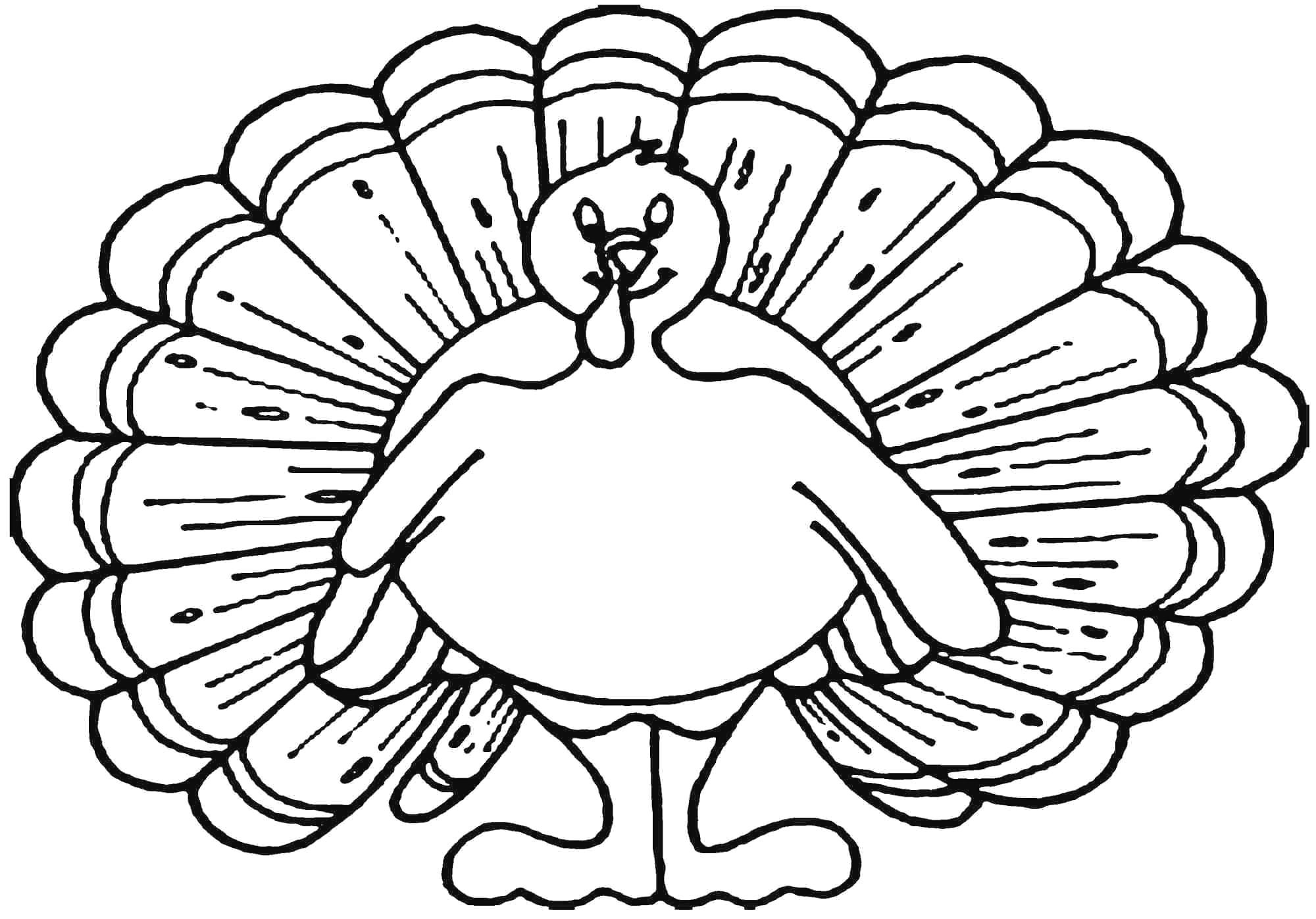 2000x1397 Turkey Drawing