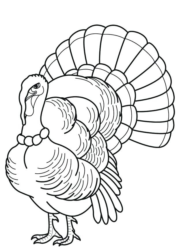620x875 Coloring Pages Of A Turkey Medium Size Of Coloring Turkey Drawing