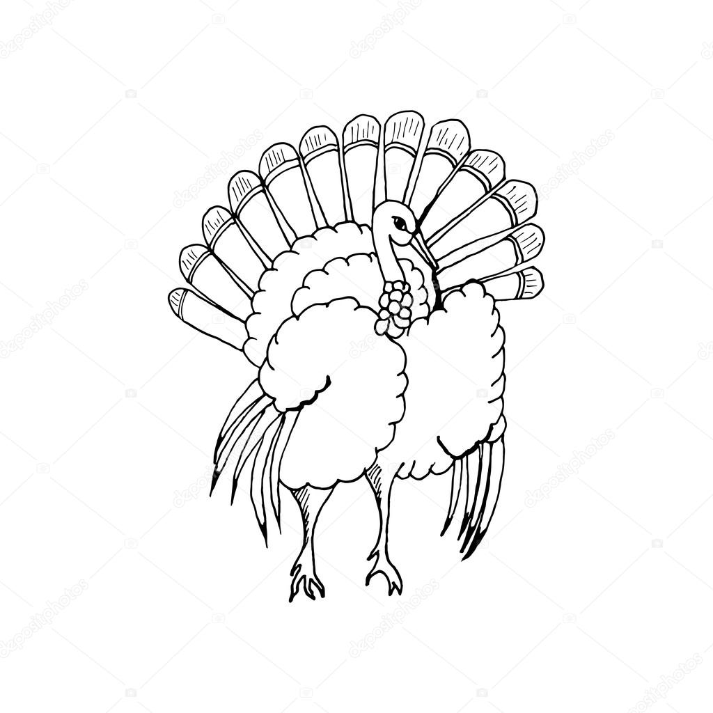 1024x1024 Hand Draw A Turkey In The Style Of The Sketch For The Decoration