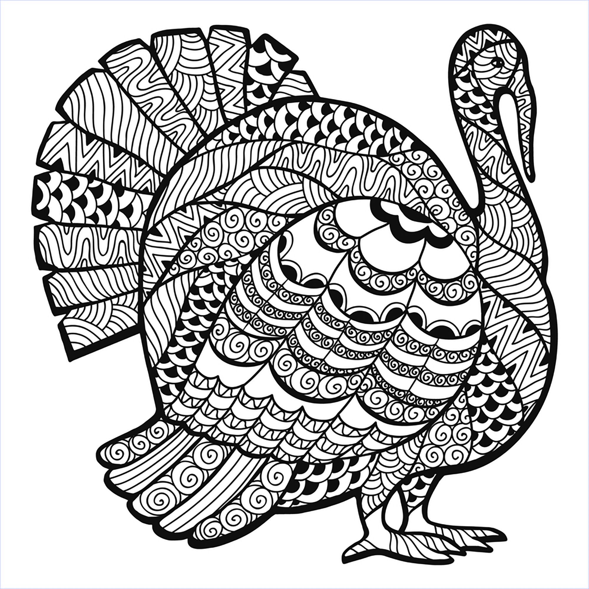 2000x2000 Turkey Animal Female Free Draw To Color