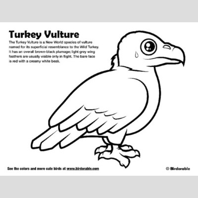 400x400 Drawn Turkey Vulture Cute
