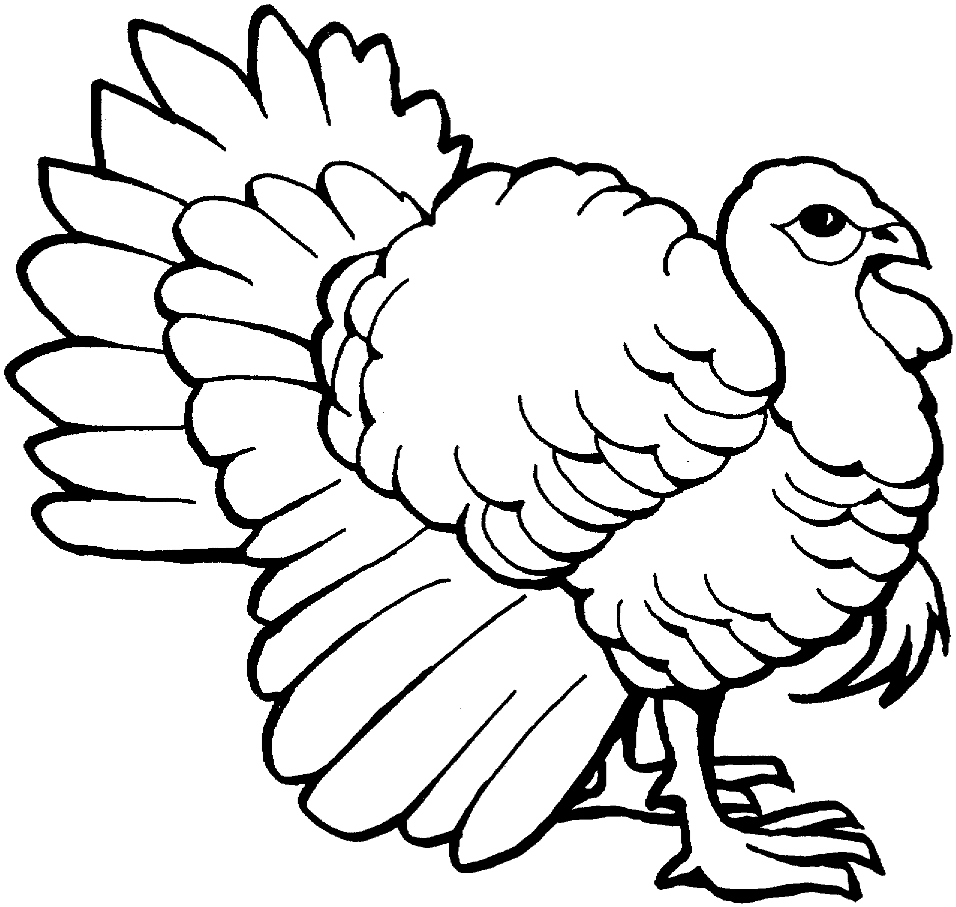 1914x1815 Coloring Pages Winsome Turkey Drawing Learn To Draw A 0 Coloring