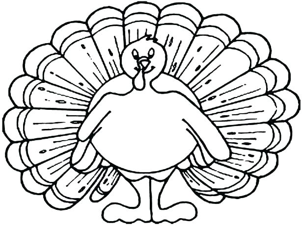615x461 Top Rated Feather Coloring Page Pictures Turkey Feathers Coloring