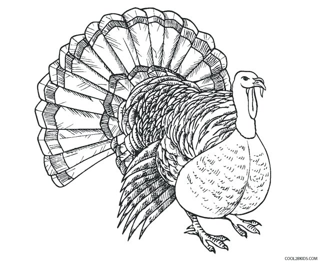 670x537 Turkey Coloring Pages Free Printable Coloring Page Of A Turkey