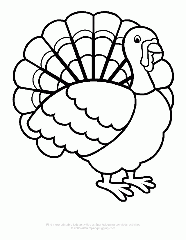 640x825 Turkey Feather Coloring Page 293055