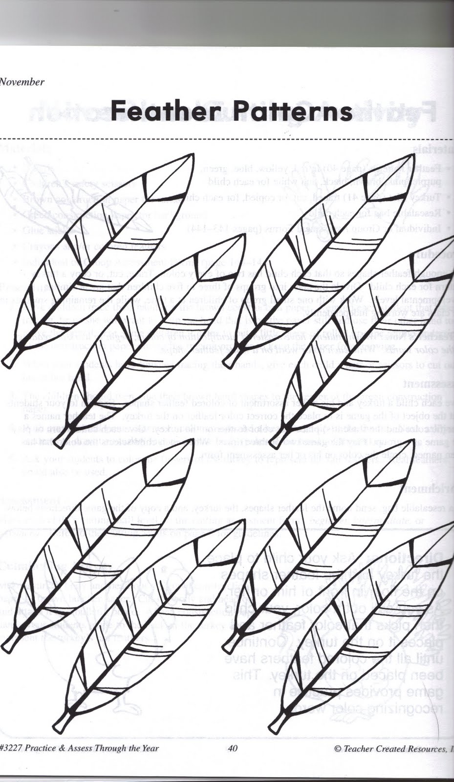 929x1600 Turkey Feather Printable Free Download