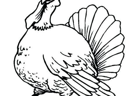 440x330 Turkey Feathers Coloring Pages Feather Coloring Page Turkey