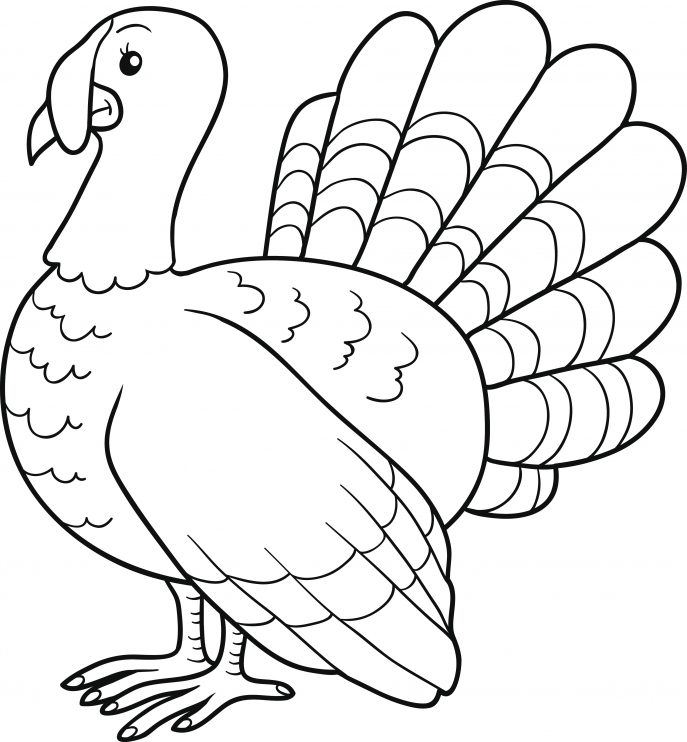 687x742 Coloring Pages Stunning Turkey Drawing Dresstheturkey Coloring