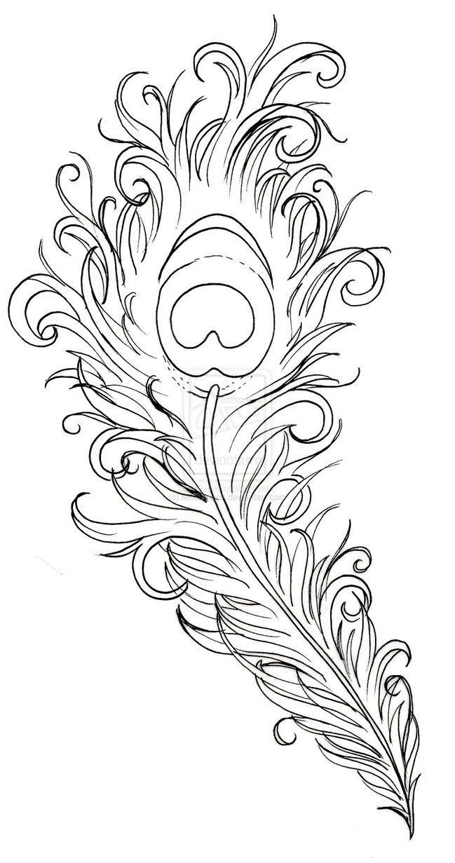 649x1231 Drawn Peacock Peacock Feather