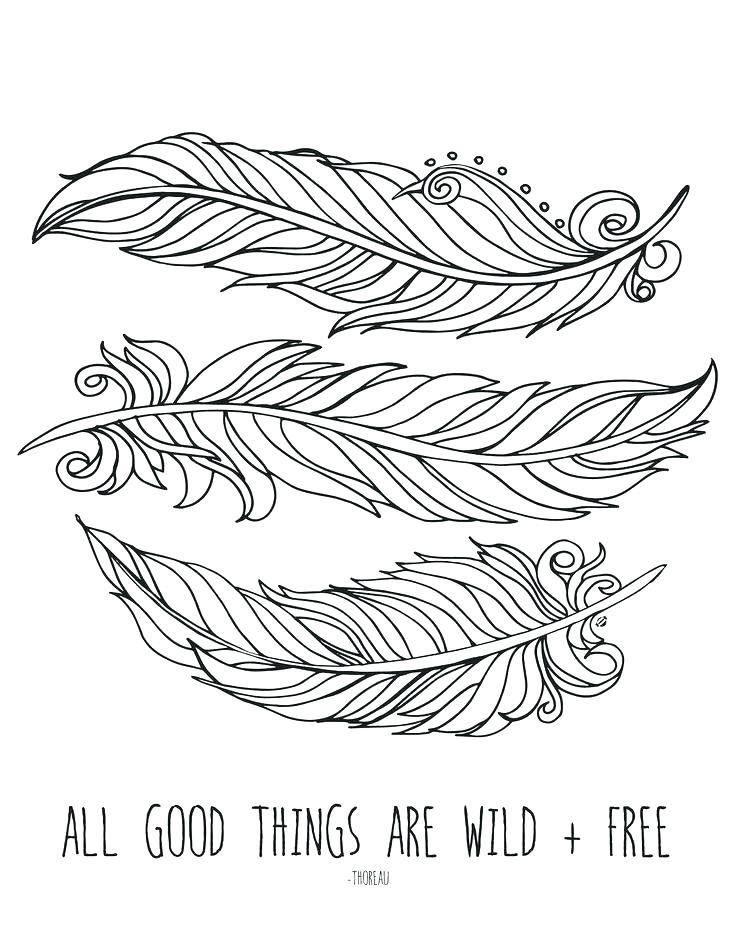 736x952 Fresh Feather Coloring Page And Turkey Coloring Pages Free