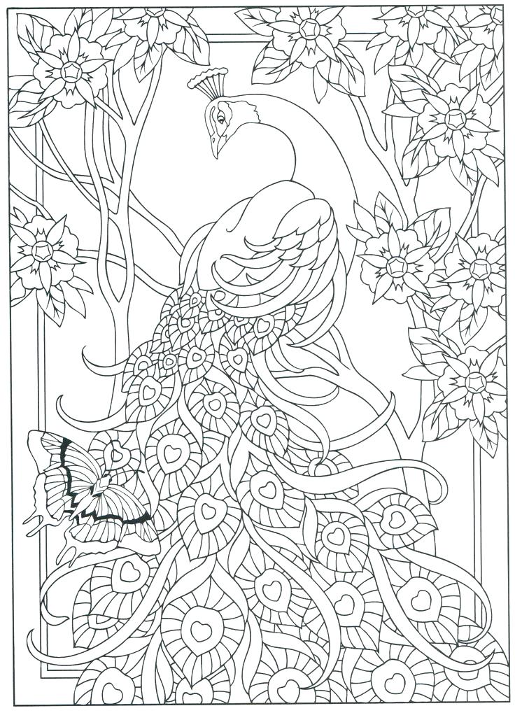 736x1019 Idea Feather Coloring Page And Turkey Feather Coloring Page