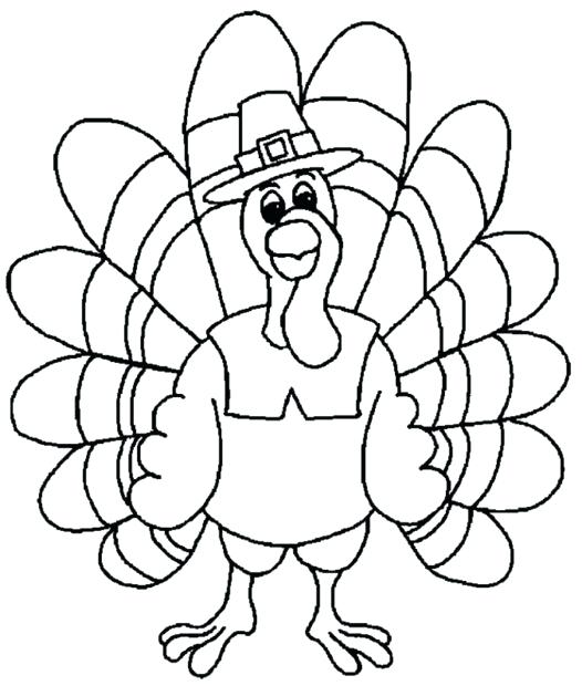 Turkey Feathers Drawing at GetDrawings | Free download