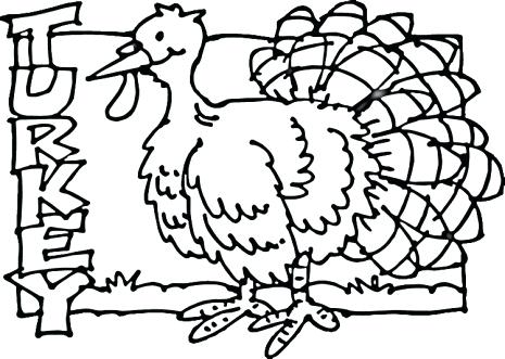 465x331 Turkey Feathers Coloring Pages Turkey Feather Turkey Drawing Clip