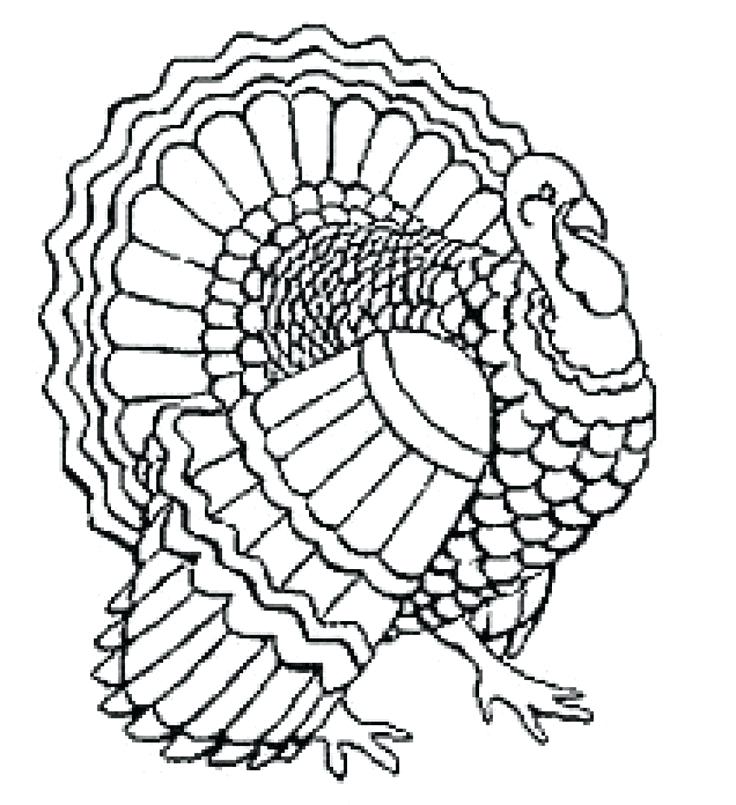 736x805 Turkey Coloring Pages For Kids Thanksgiving Coloring Pages Free