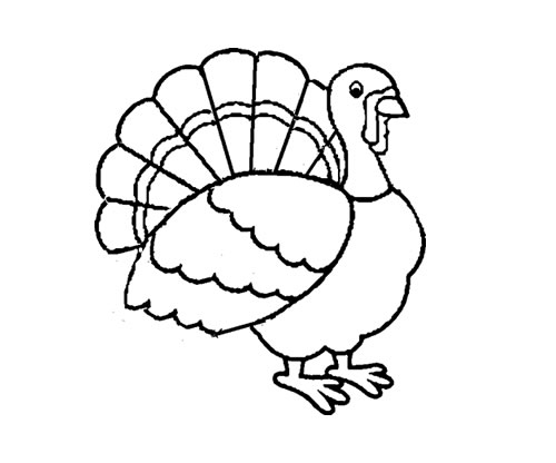 500x416 Coloring Pages Of Turkeys