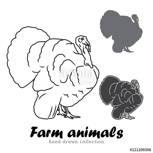 500x500 Hand Drawn Turkey Silhouette. Farm Animals Vector Illustration
