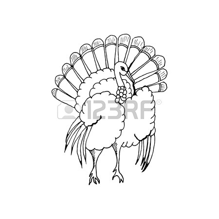 450x450 Turkey Hand Drawn In Grunge Style, Can Be Used As A Print