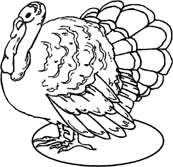 Turkey Head Drawing at GetDrawings | Free download