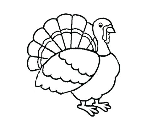 500x416 Coloring Pages Turkey Turkey Coloring Pages Coloring Page Turkey