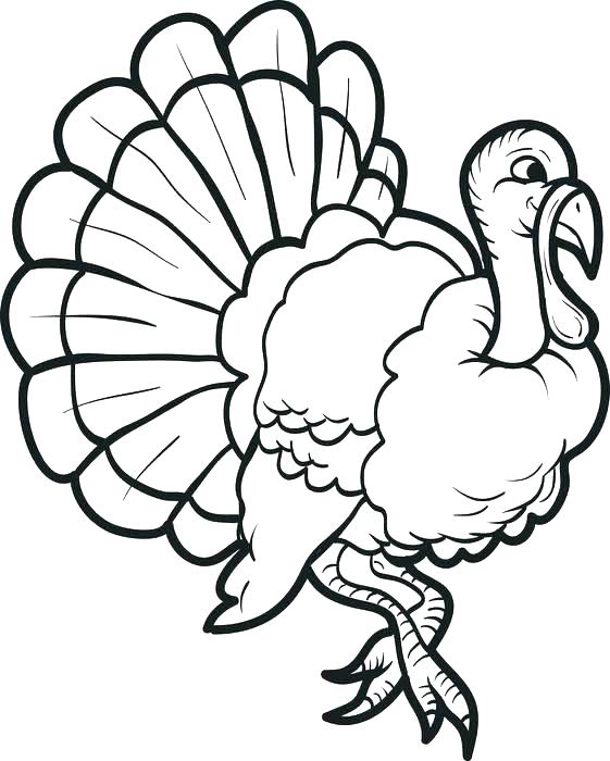 561x700 Turkey Coloring Page Turkey Coloring Pages Printable Free Free