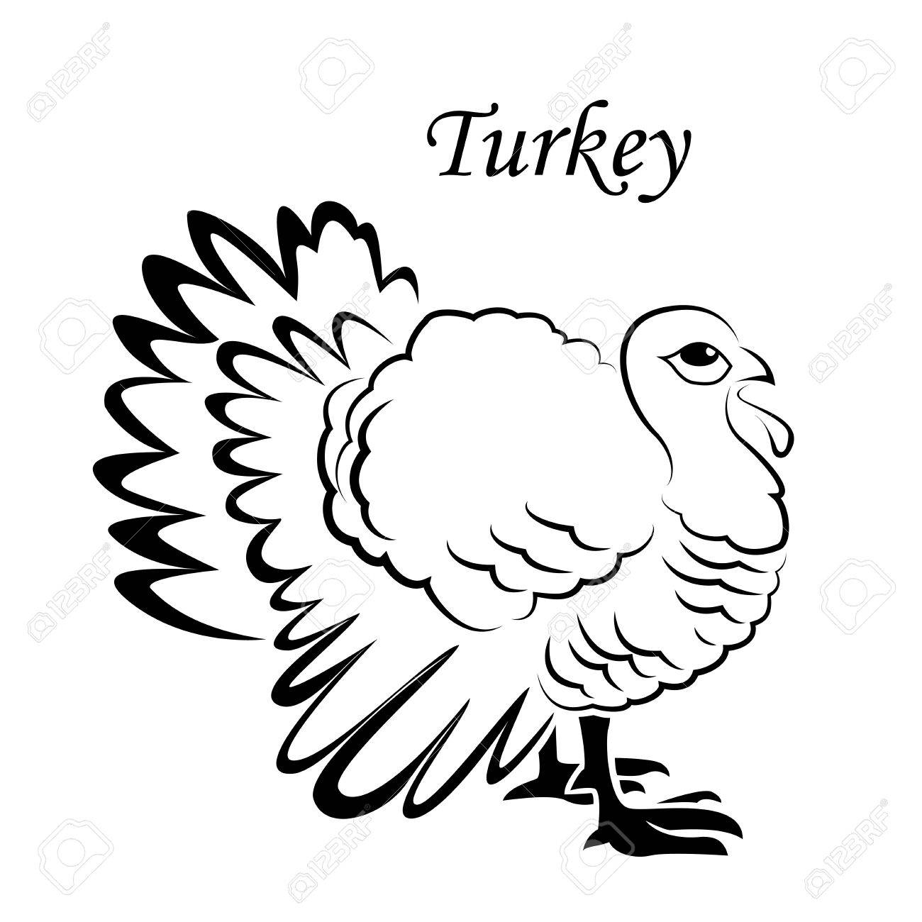 1300x1300 Turkey Sketch Icon For Web, Mobile And Infographics. Hand Drawn