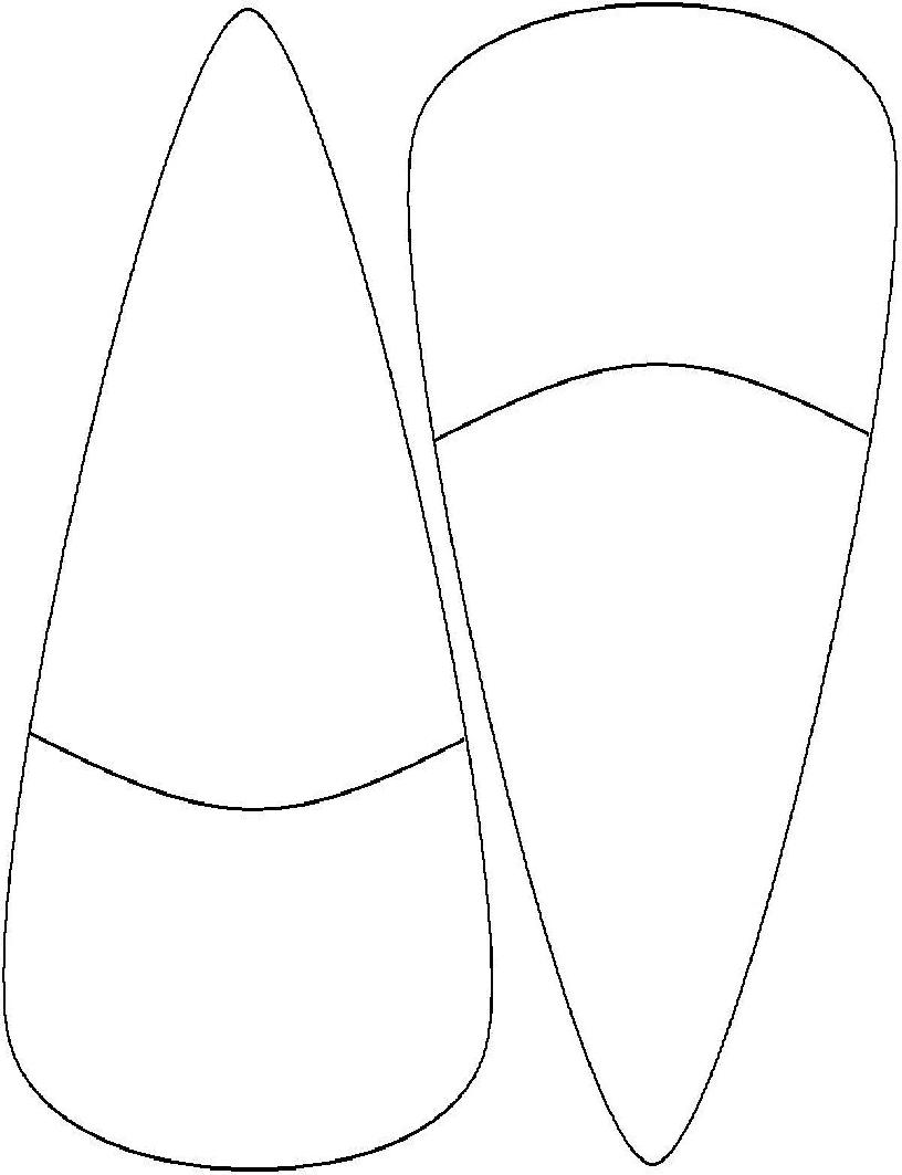 816x1063 Turkey Feather Outline Clipart