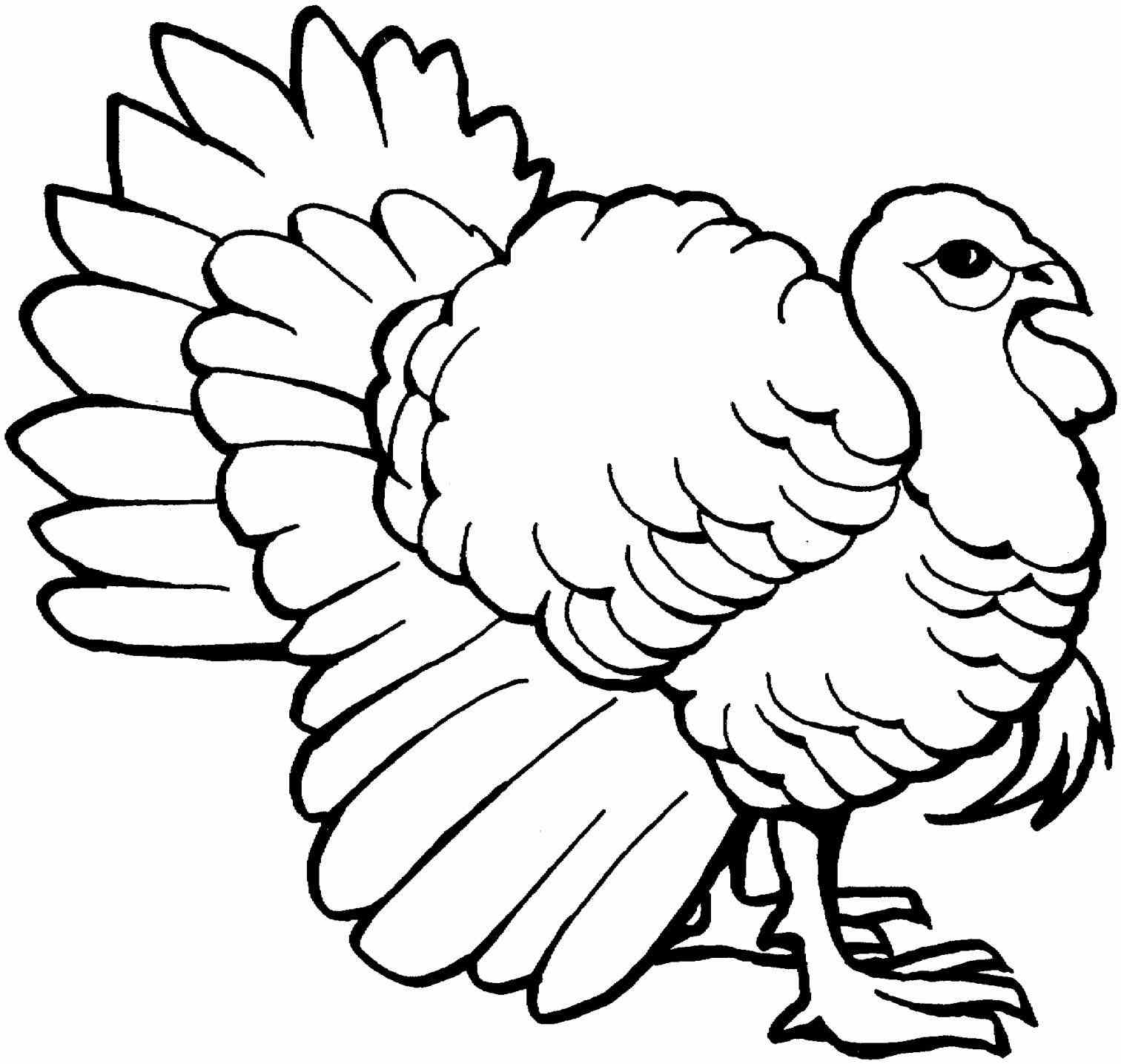 Turkey Picture Drawing at GetDrawings | Free download