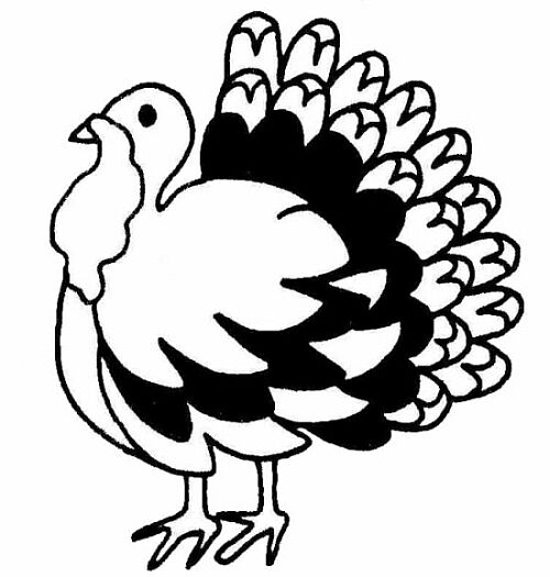 500x525 Turkey Drawings Clipart