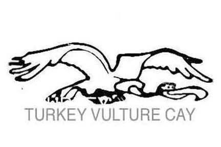 432x288 Is It A Hawk Or Turkey Vulture