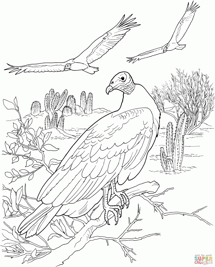 825x1024 Turkey Vultures In A Desert Download Coloring Page