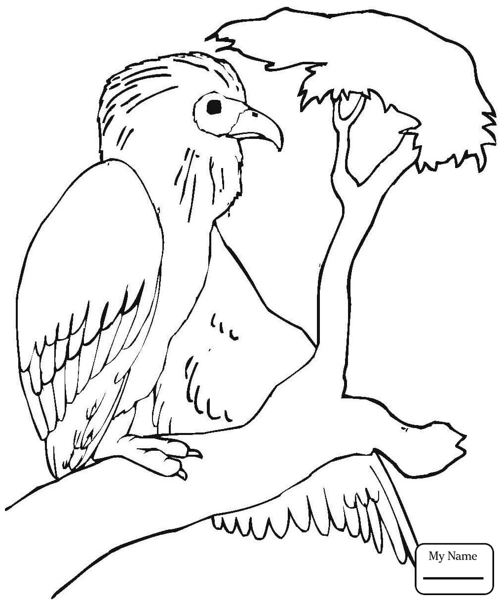 1019x1224 Vector Of Cartoon Vulture Perched On Letter V Free Coloring Page