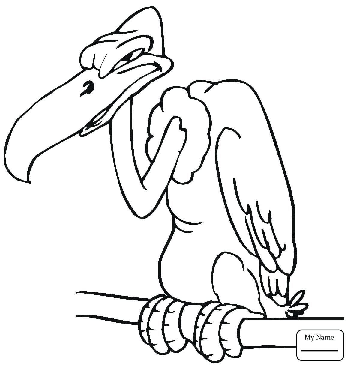 1167x1224 Coloring Vulture Coloring Pages Vector Of A Cartoon Perched
